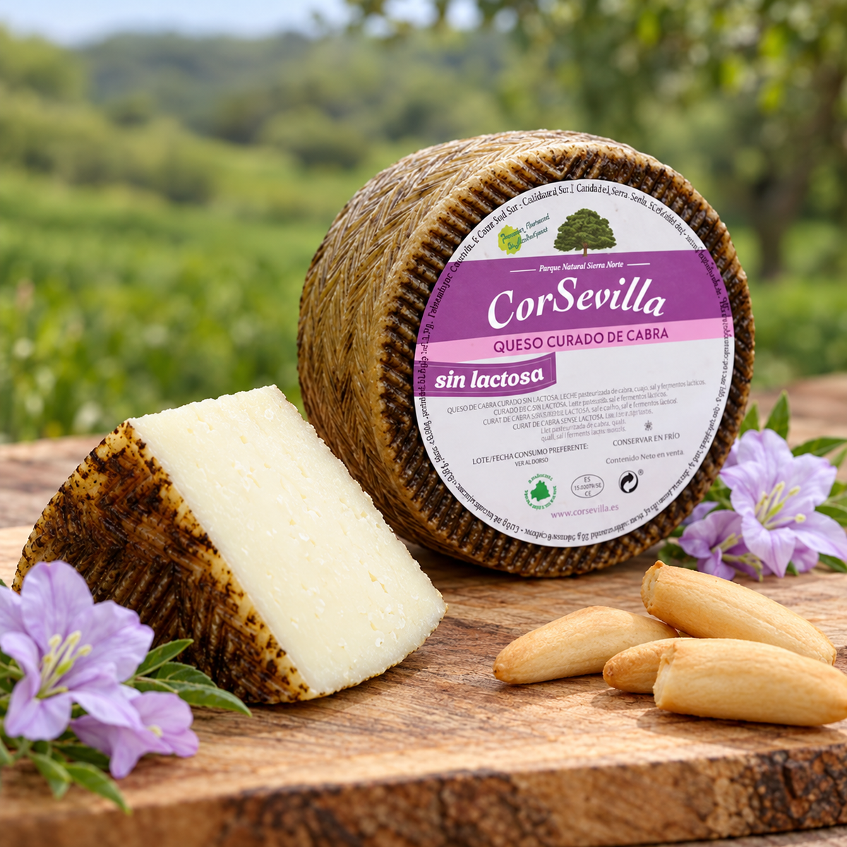 Queso curado de cabra sin lactosa