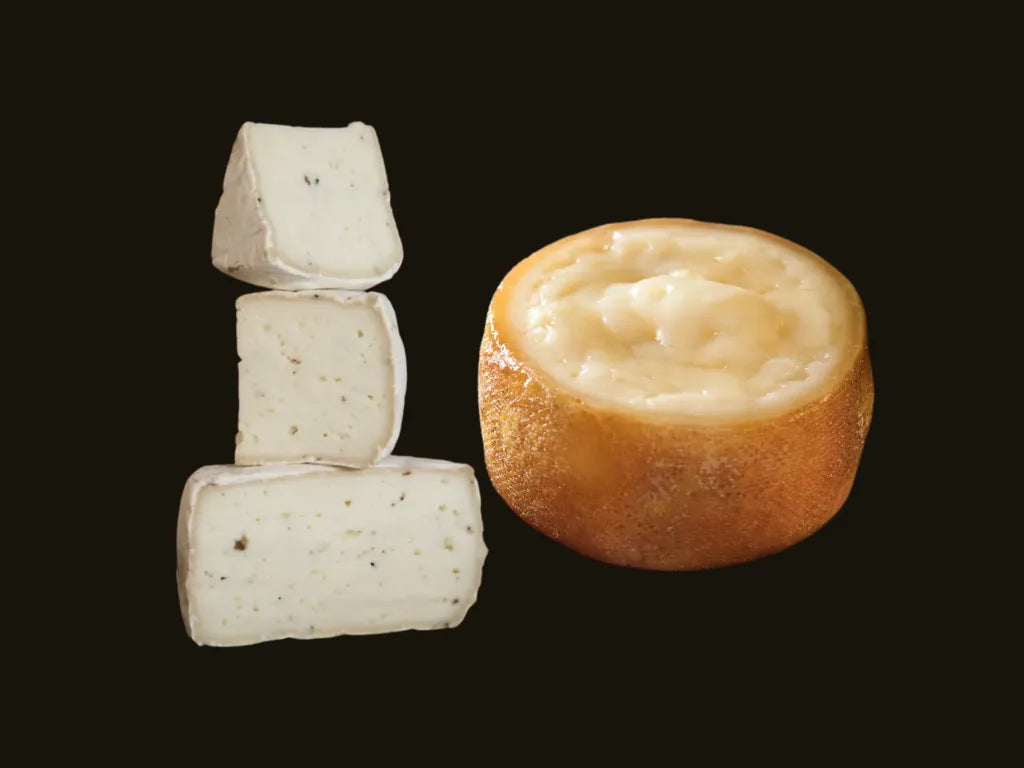 Pastura con trufa + Retorta