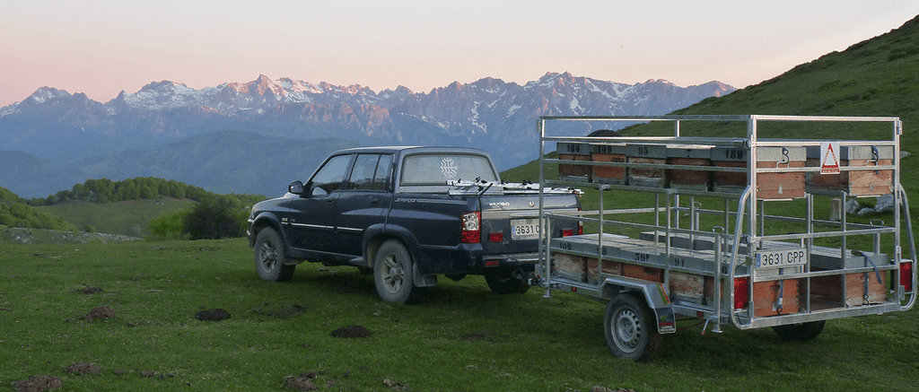 Miel Colmenares Vendejo