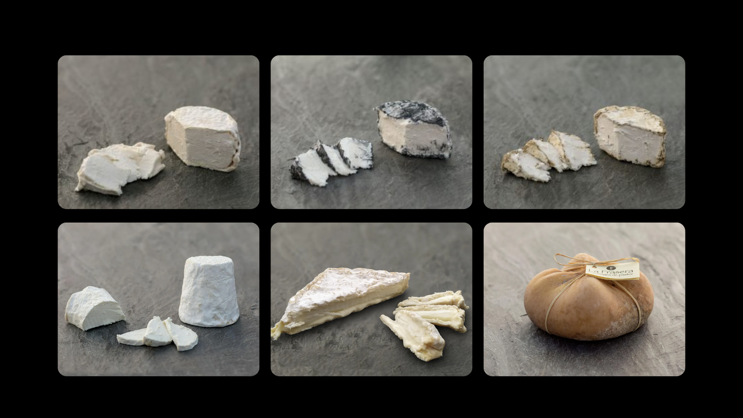 Se muestran 6 quesos con diferentes texturas y sabores, todos muy apetecibles.