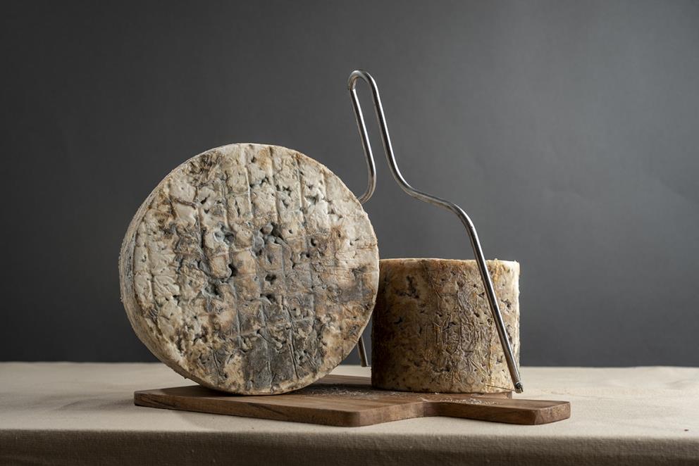 Se muestra un queso de canto y otro de menor tamaño sobre una tabla con un cortador de queso. En los dos quesos se aprecian agujeros y hongos del queso.