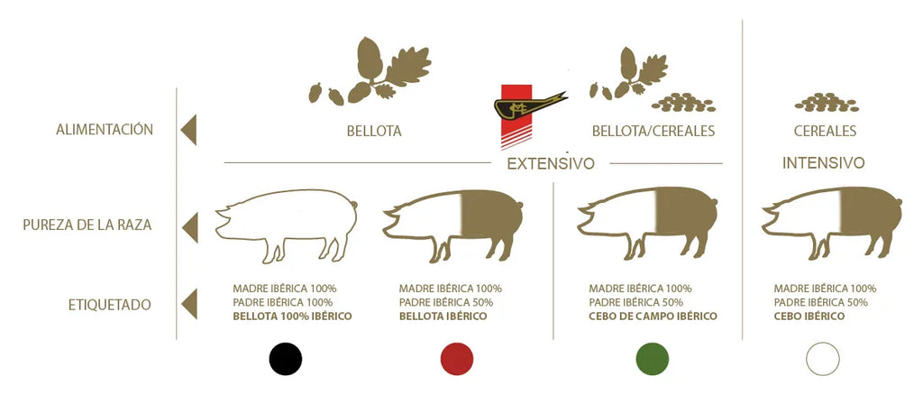 Aspectos Clave de la Norma del Ibérico