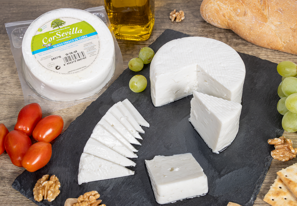 Queso fresco de cabra artesanal