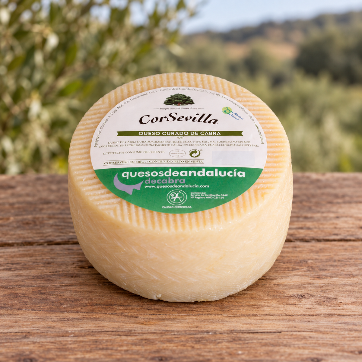 Queso curado cabra calidad certificada