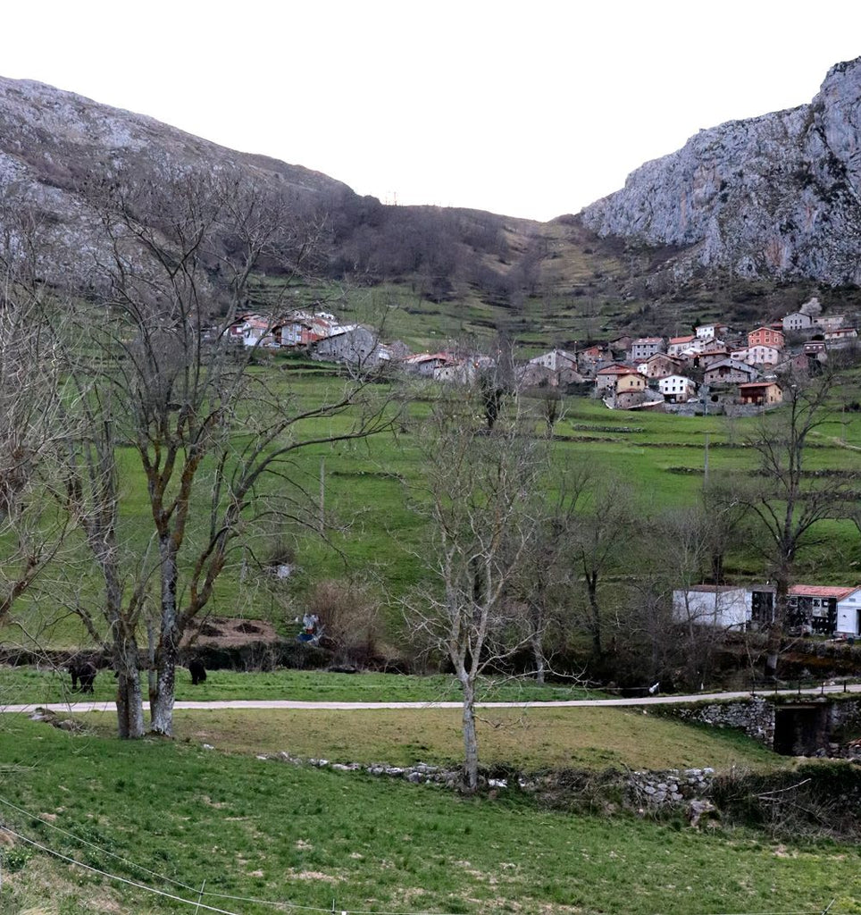 Quesería Rio Corvera Bejes