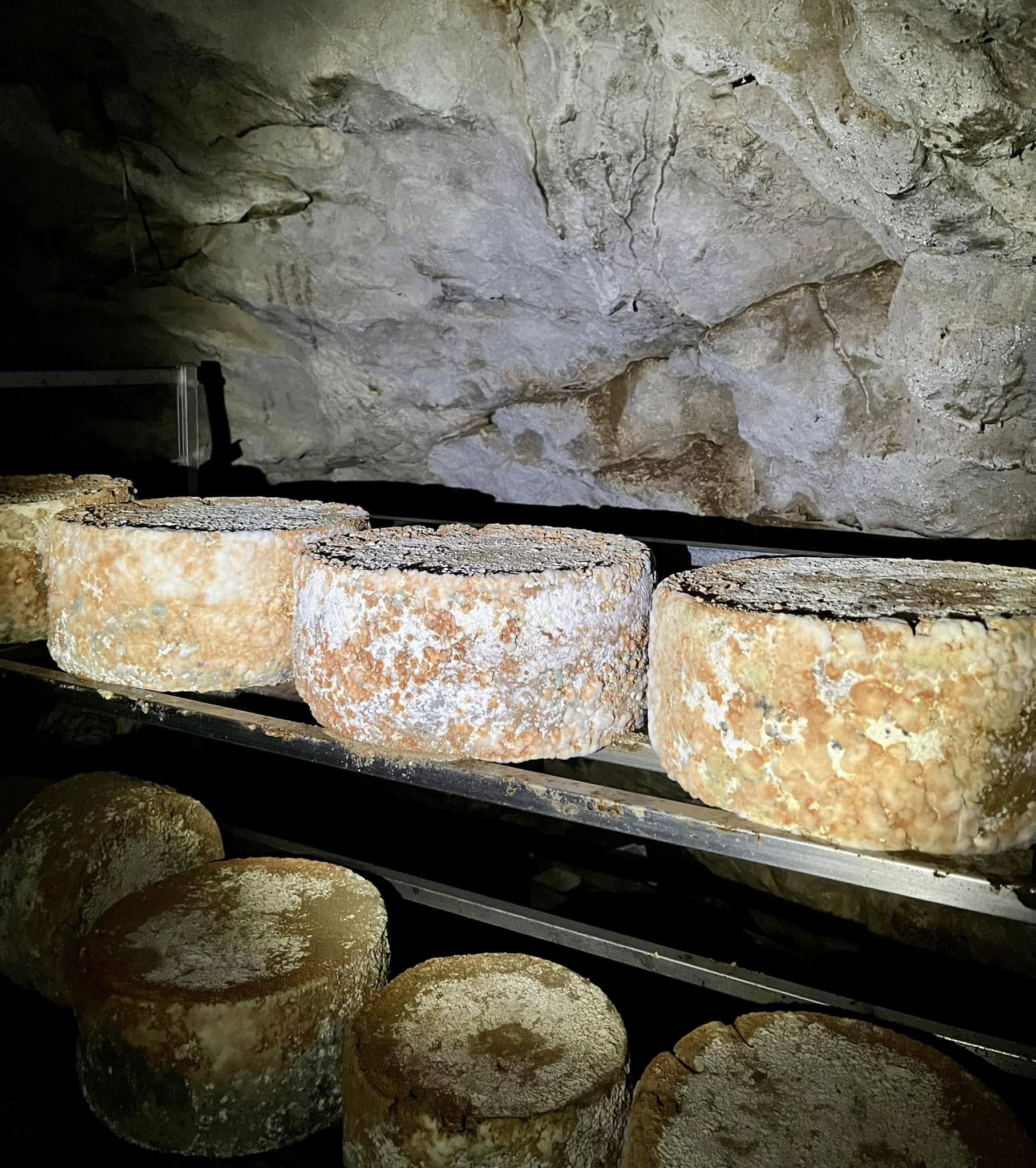 Se muestran varios quesos madurando en una cueva natural. Todos los quesos tienen un aspecto muy viejo.