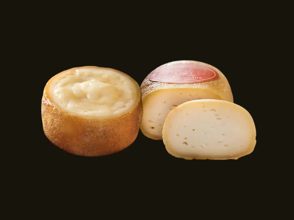 Retorta + Pascualino