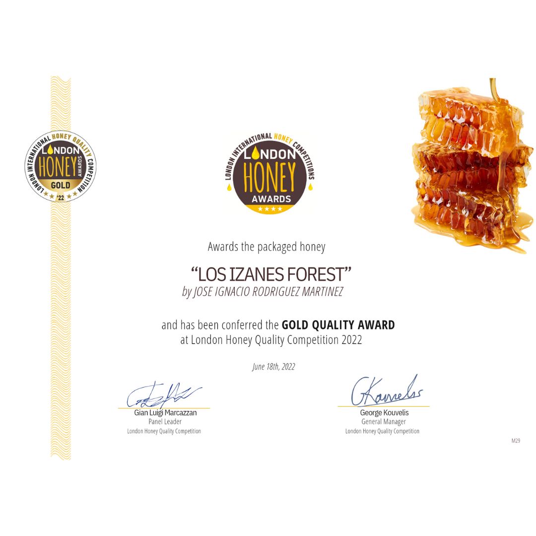Miel de Bosque - 1Kg
