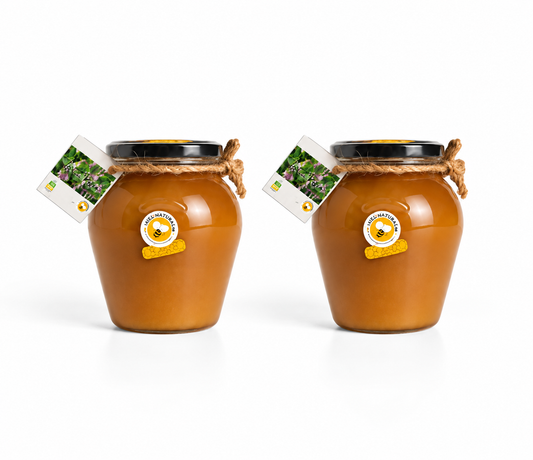 IGP Miel de Asturias – 2 botes de 500g