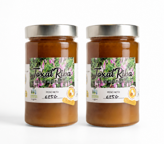 IGP Miel de Asturias – 2 botes de 625g