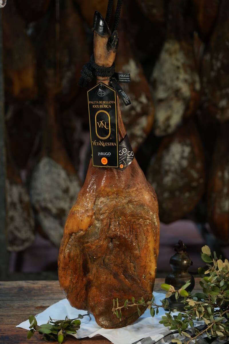 Paleta de Bellota 100% Ibérica DOP Jabugo