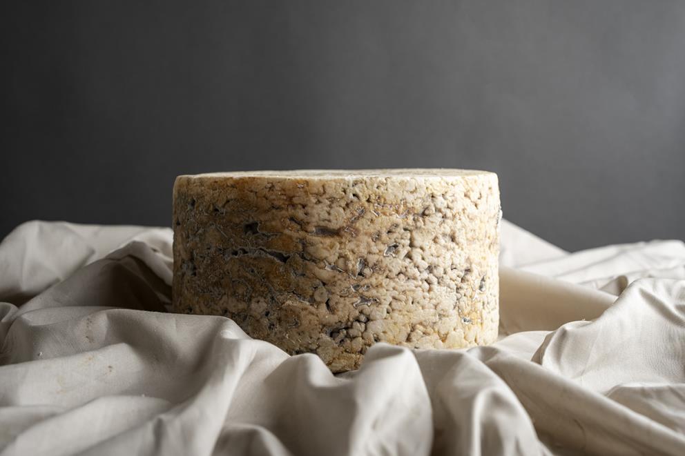 Se muestra un queso con la corteza ligeramente marrón al que se le aprecian los hongos. El queso está sobre un paño blanco y un fondo gris.