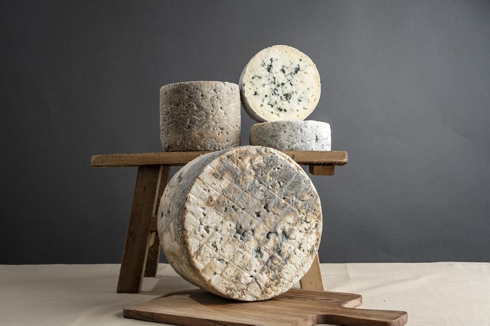 En primer plano se muestra un queso de canto con varios agujeros y con presencia de hongos. Detrás en una mesa hay varios quesos más sobre un fondo gris azulado.
