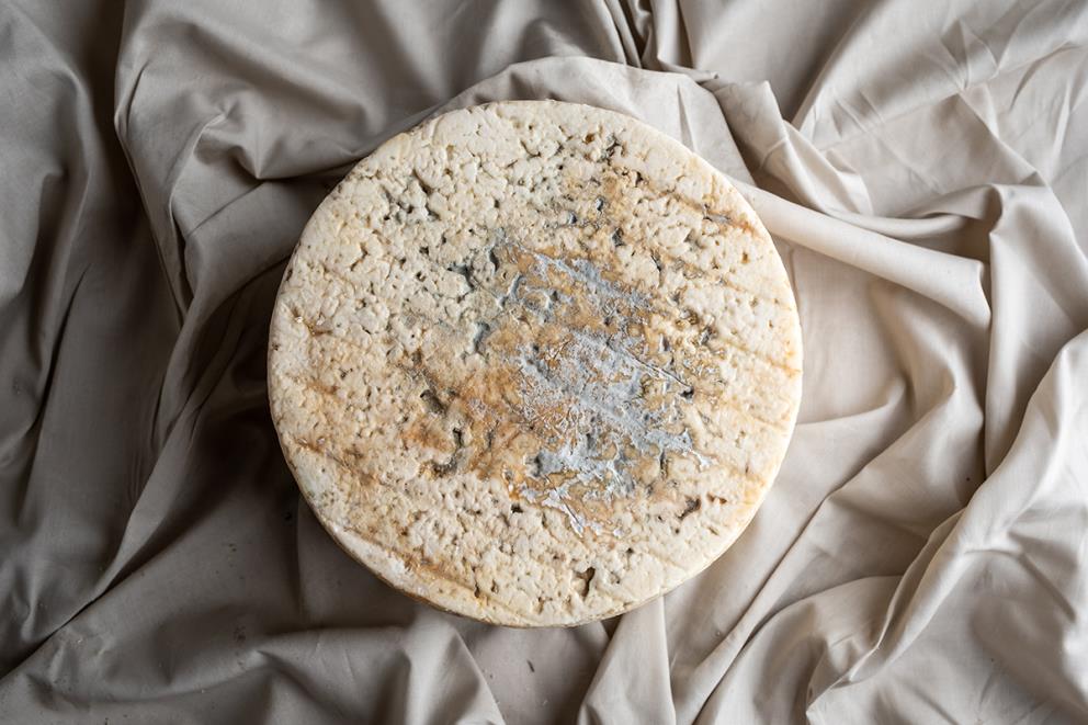 Se muestra un queso visto desde arriba. En su base superior e aprecian los hongos del queso, que está sobre un paño arrugado de color beige.