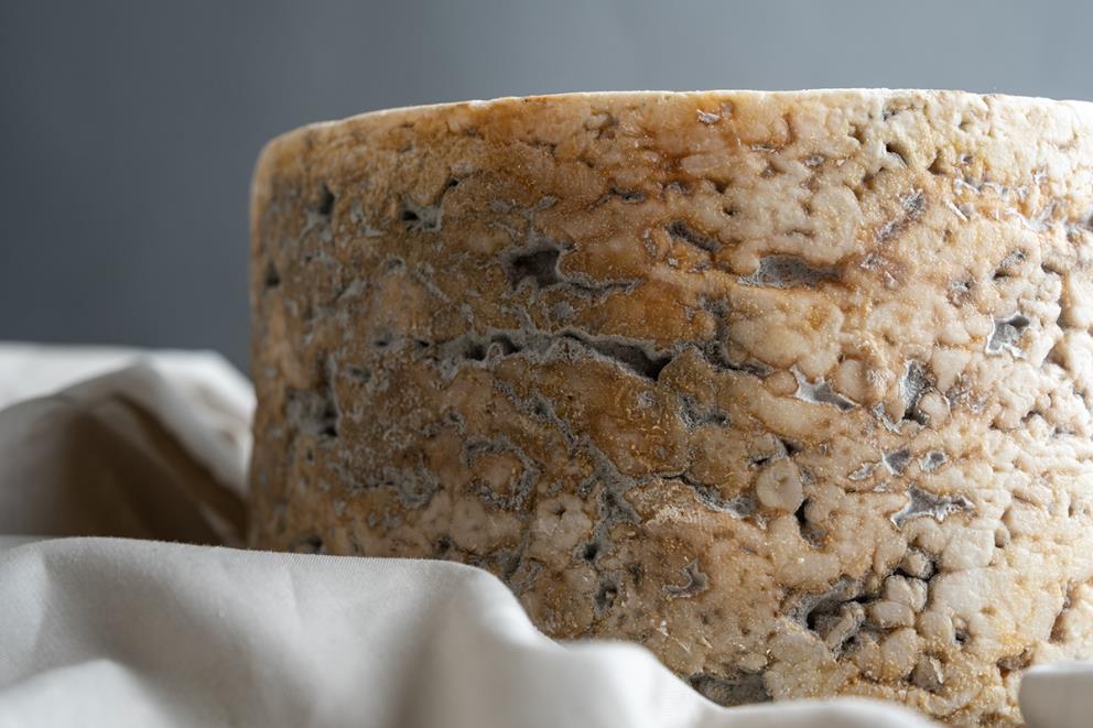 Se muestra la corteza de un queso azul. La corteza es ligeramente anaranjada con ojos repartidos de forma aleatoria.